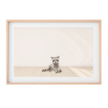 Baby Raccoon Printed Wall Art
