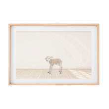 Baby Lamb Printed Wall Art