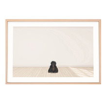 Baby Monkey Printed Wall Art