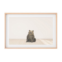 Grizzly Bear Printed Wall Art