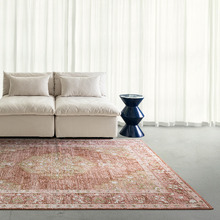 Terracotta Salem Medallion Machine Washable Rug