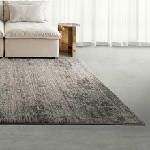 Escanta Distressed Rug