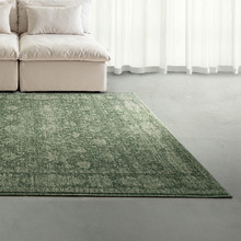 Allister Traditional Rug