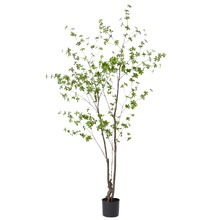 210cm Potted Faux Pieris Tree
