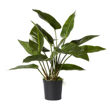 70cm Potted Faux Anthurium Plant