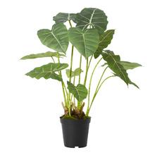 70cm Potted Faux Alocasia Frydek Plant