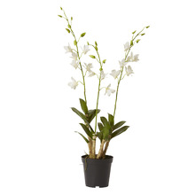 89cm White Potted Faux Orchid Dendrobium Flower