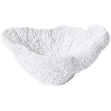 Coral Polyresin Decorative Bowl