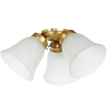 Waikiki Frost Glass Light Kit