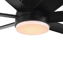 Tourbillion Ceiling Fan Light Kit