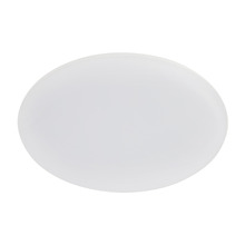 Roystar LED Outdoor Oyster Light