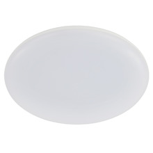 Roystar LED Outdoor Oyster Light
