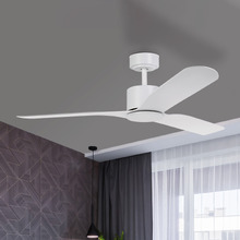 Iluka DC Ceiling Fan with Remote Control