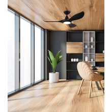Noosa DC Ceiling Fan with LED