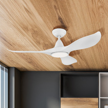 Noosa DC Ceiling Fan with LED