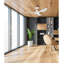 Noosa DC Ceiling Fan with LED