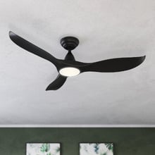 Noosa DC Ceiling Fan with LED