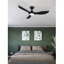 Noosa DC Ceiling Fan with LED