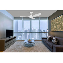 Noosa DC Ceiling Fan