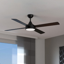 Stradbroke DC Ceiling Fan with LED