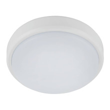 Bruleigh LED Outdoor Oyster Light