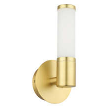Palmera Steel 5W LED Vanity Light