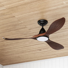 Noosa DC Ceiling Fan with LED