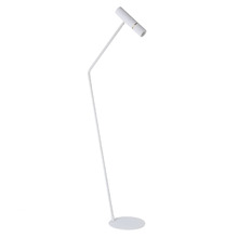 Caminia Steel Floor Lamp