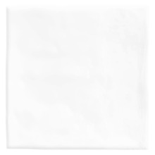 Orion Gloss White Square Ceramic Tile