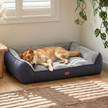 Callie Memory Foam Dog Bed