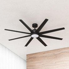 Titanic DC Ceiling Fan with LED
