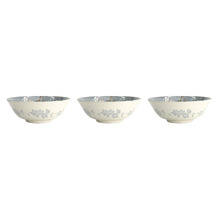 Fujisakura 21cm Porcelain Ramen Bowls (Set of 3)
