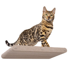 Pryde Long Cat Climber Wall Shelf