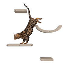 4 Piece Pryde Cat Climber Wall Shelf Set