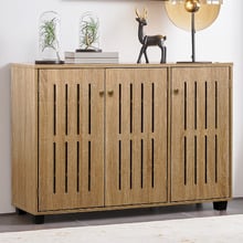Thayer 3 Door Shoe Cabinet