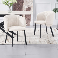 Elyn Chenille Dining Chairs (Set of 2)