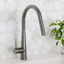 Hoskins Gooseneck Pull-Out Kitchen Sink Mixer