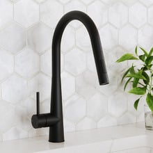 Hoskins Gooseneck Pull-Out Kitchen Sink Mixer
