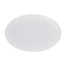 Roystar LED Outdoor Oyster Light
