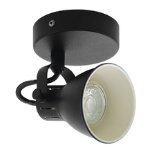 Seras Steel Spotlight