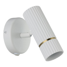 Caminia Steel Wall Spotlight