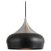 Black & Satin Nickel