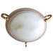 Brushed Brass