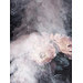 Canvas only - no frame