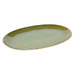 Glossy Olive