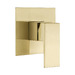 Brushed Yellow Gold