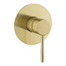 Brushed Yellow Gold