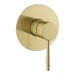 Brushed Yellow Gold