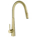 Brushed Yellow Gold