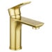 Brushed Yellow Gold
